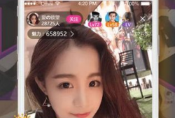 yy直播性爱视频 迅雷下载